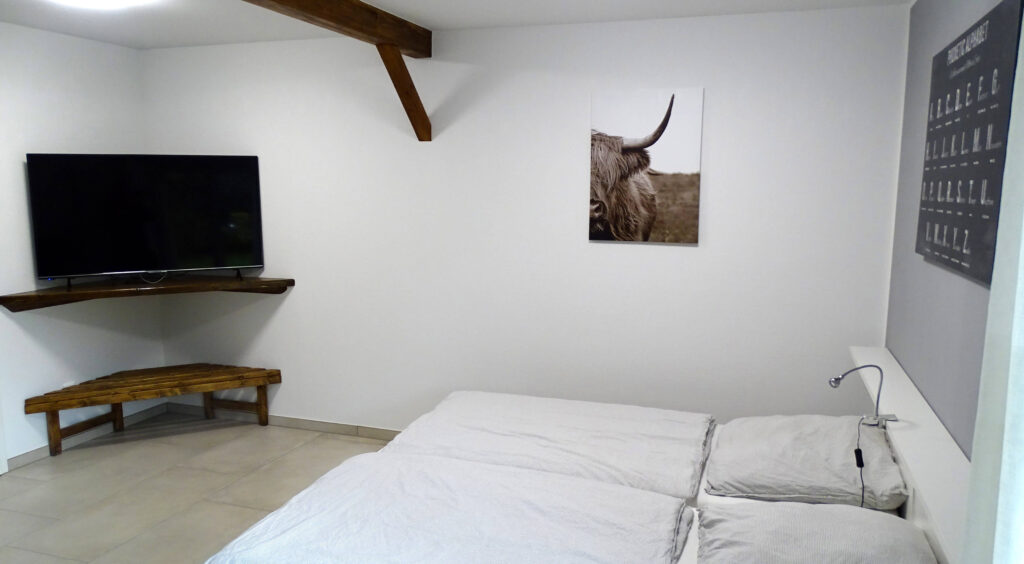 Schlafzimmer mit Doppelbett und TV
